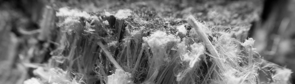 Gros plan sur des fibres d’amiante