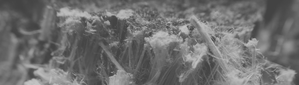 Gros plan sur des fibres d’amiante